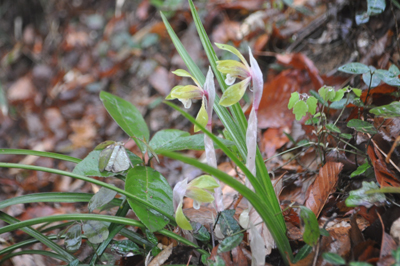 lDSC_0593.jpg