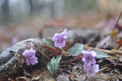 lDSC_0615.jpg