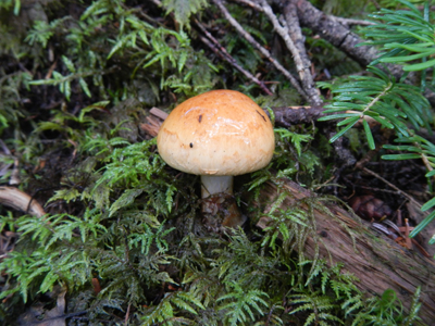 m009.jpg