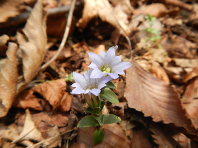 oDSCN3330.jpg