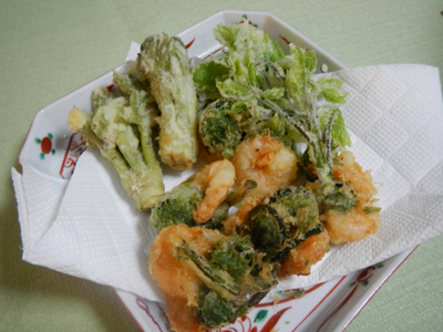 oDSCN3596.jpg