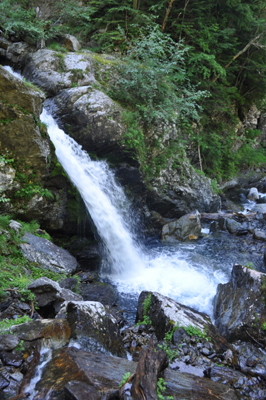 r277.jpg