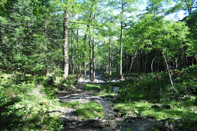 r284.jpg