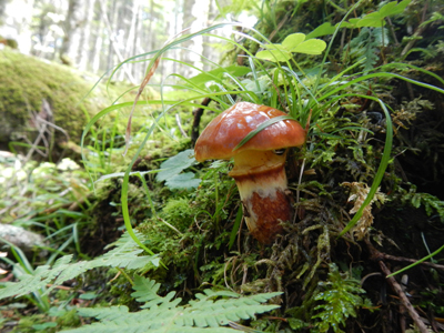 rDSCN0788.jpg