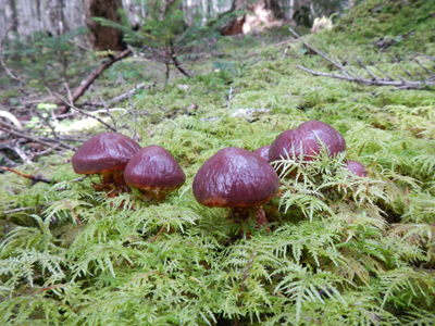 rDSCN0820.jpg