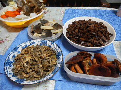 rDSCN0924.jpg