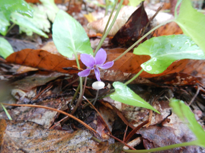 rDSCN0953.jpg