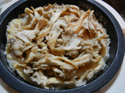 rDSCN0986.jpg