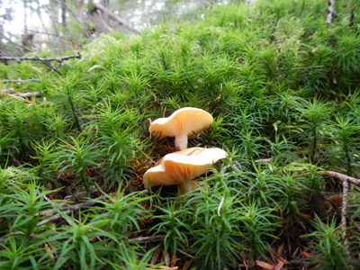 rDSCN1022.jpg