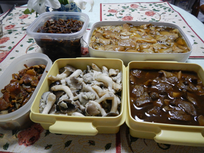 rDSCN1131.jpg