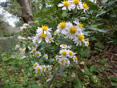 rDSCN1169.jpg
