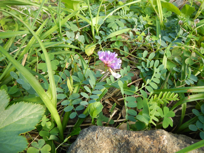 rDSCN1231.jpg