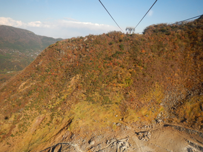 rDSCN1415.jpg