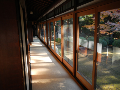 rDSCN1746.jpg