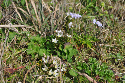 rDSC_0022.jpg