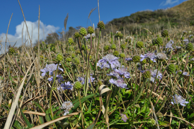 rDSC_0027.jpg