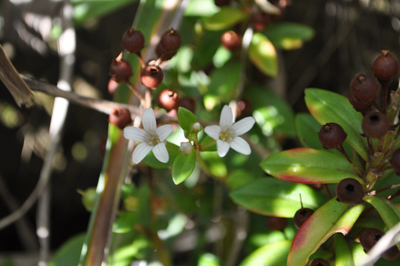 rDSC_0036.jpg