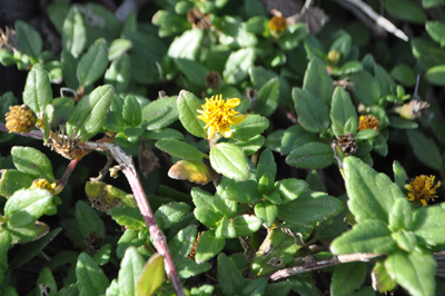 rDSC_0043.jpg