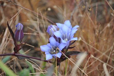 rDSC_0069.jpg