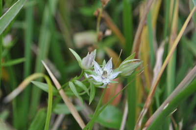 rDSC_0083.jpg