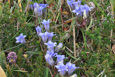 rDSC_0087.jpg