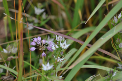rDSC_0097.jpg