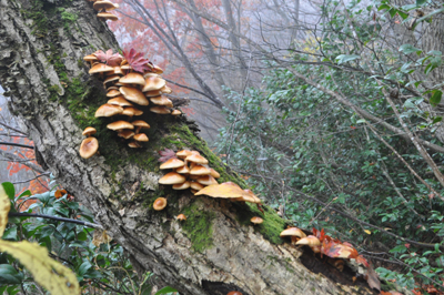 rDSC_0110.jpg