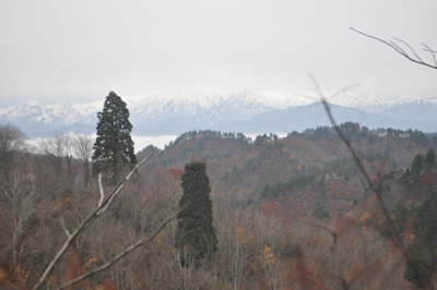 rDSC_0127.jpg