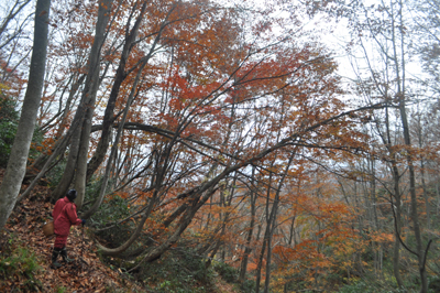 rDSC_0135.jpg