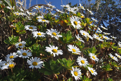 rDSC_0139.jpg