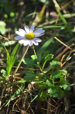 rDSC_0152.jpg