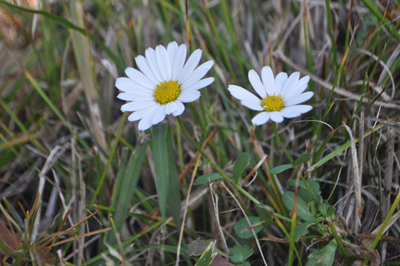 rDSC_0158.jpg