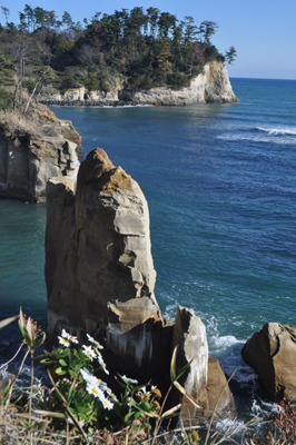 rDSC_0169.jpg