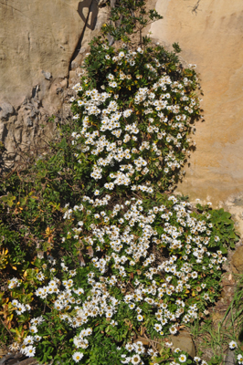 rDSC_0179.jpg