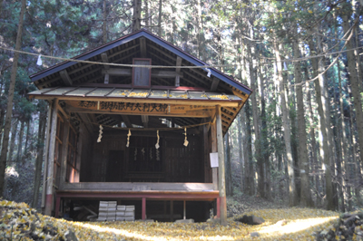 rDSC_0197.jpg