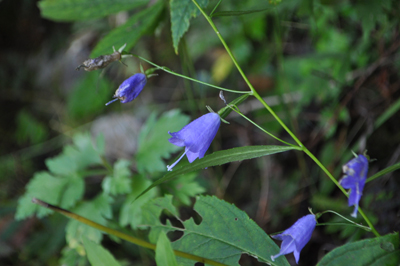 rDSC_0576.jpg