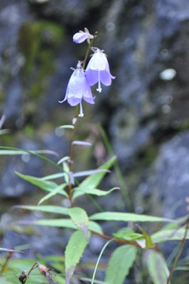 rDSC_0578.jpg