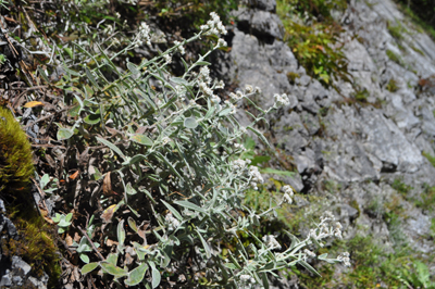 rDSC_0584.jpg