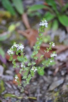 rDSC_0614.jpg
