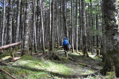 rDSC_0630.jpg
