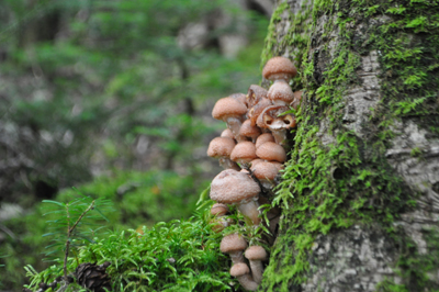 rDSC_0639.jpg
