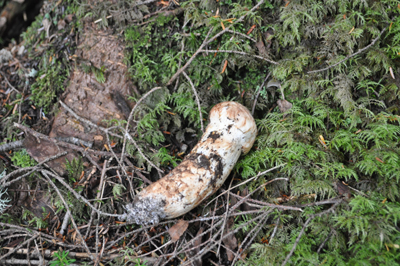 rDSC_0651.jpg