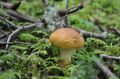 rDSC_0657.jpg