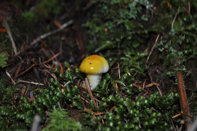 rDSC_0658.jpg