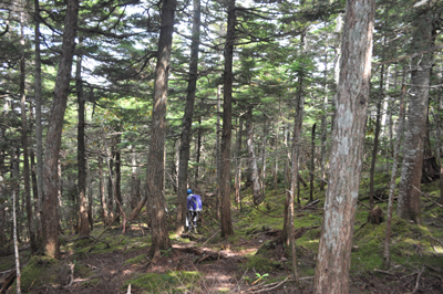 rDSC_0662.jpg