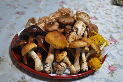 rDSC_0674.jpg