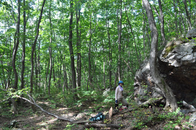 rDSC_0703.jpg