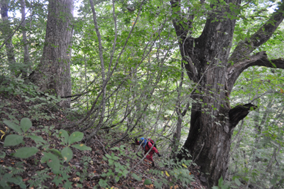 rDSC_0732.jpg