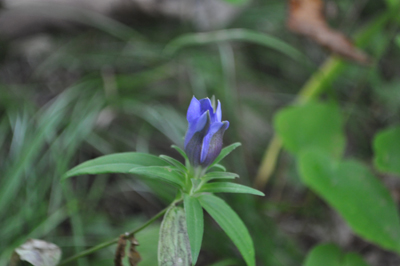rDSC_0742.jpg
