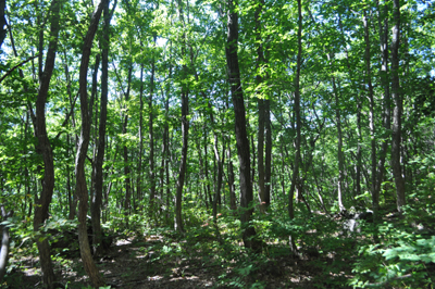 rDSC_0752.jpg